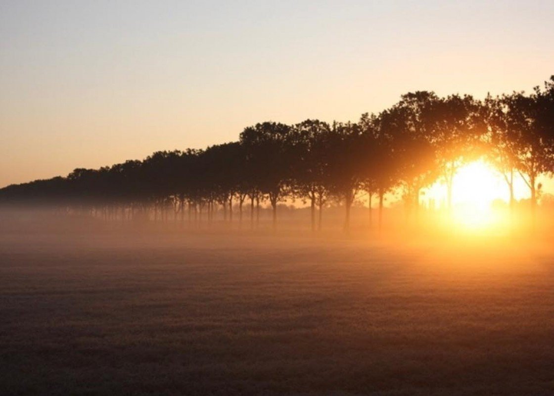 53172789 1999735216996681 7739137656977620992 o 1 