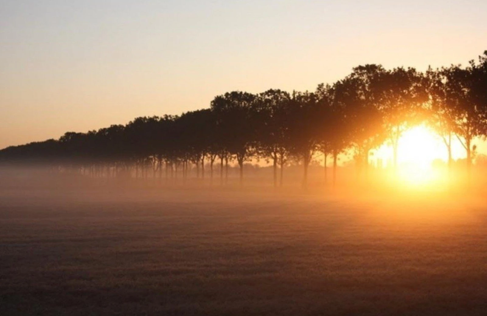 53172789 1999735216996681 7739137656977620992 o 1