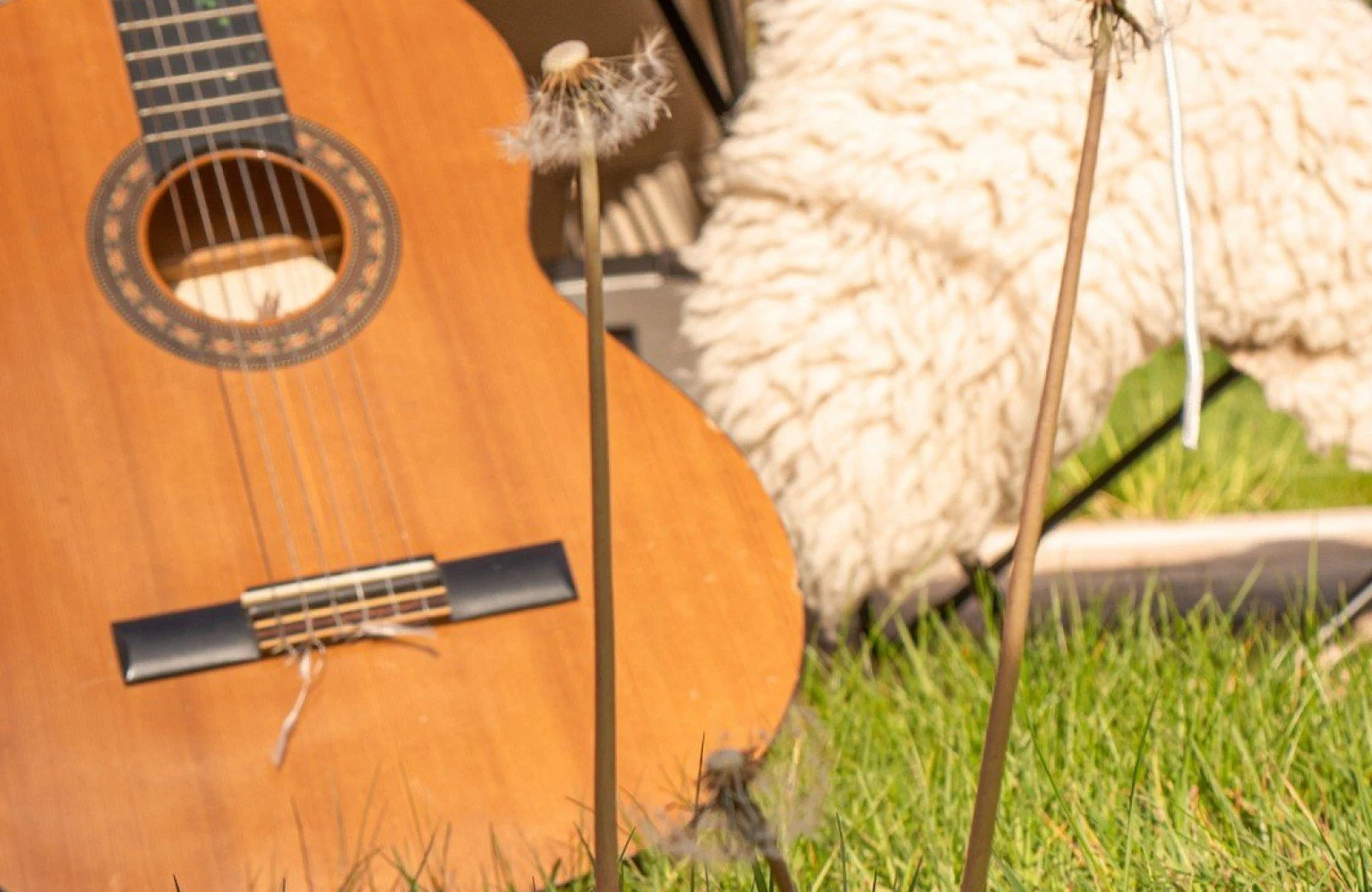 Belltenten 4 1 van 1