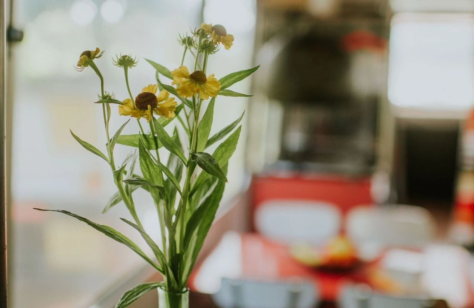 Camping buitenland 332