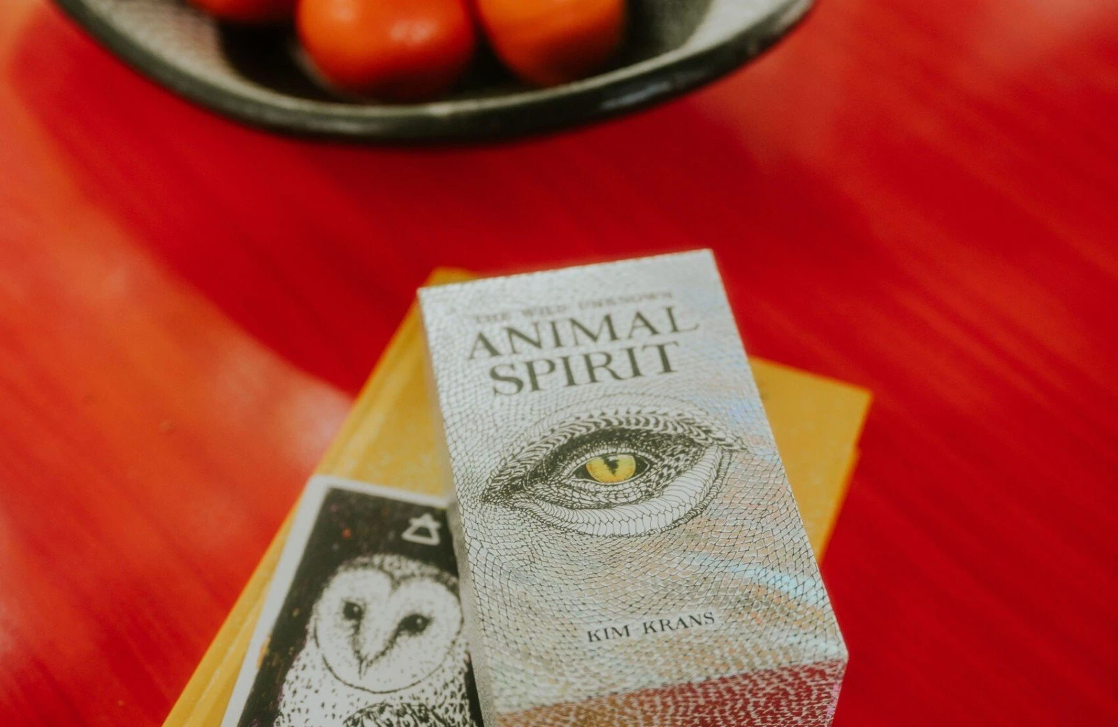 Camping buitenland 353