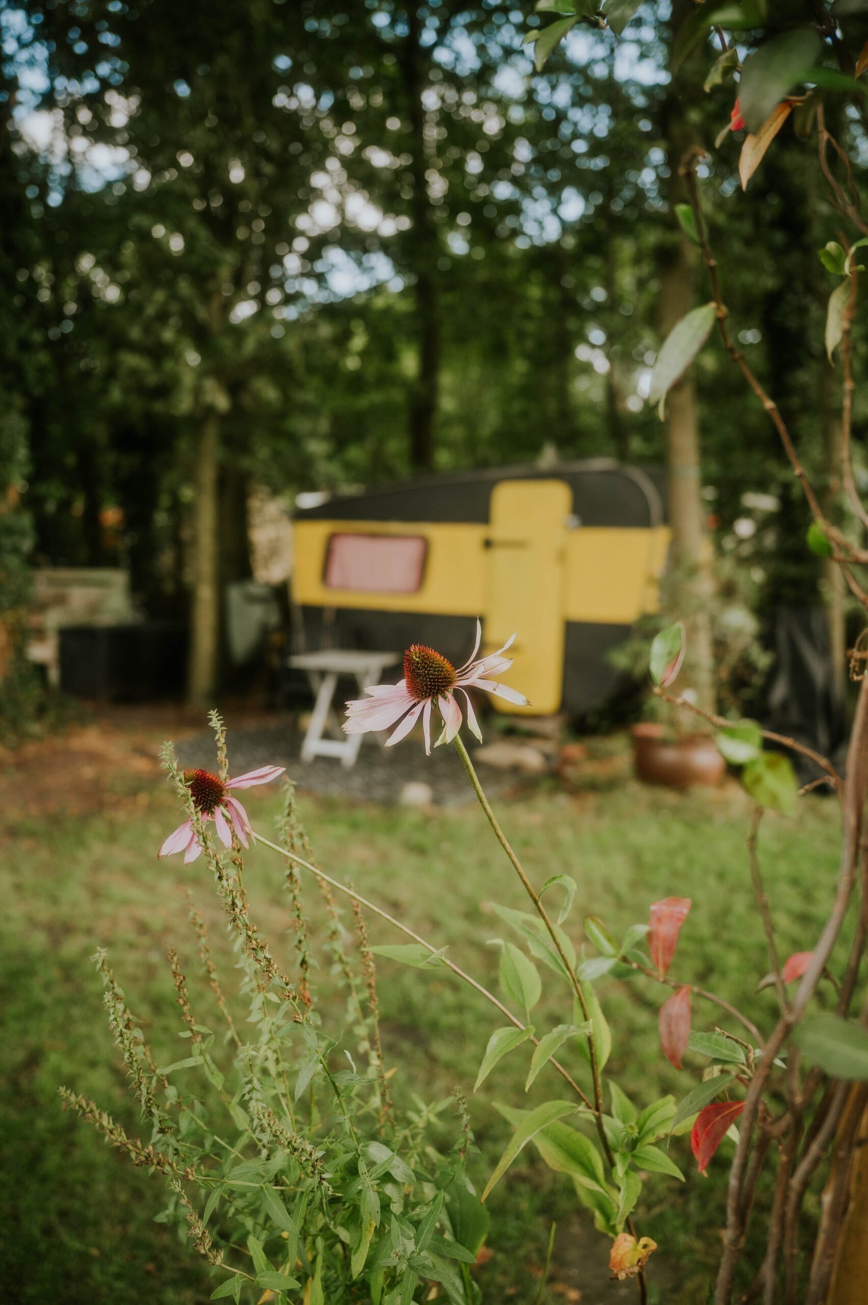 Camping buitenland 371