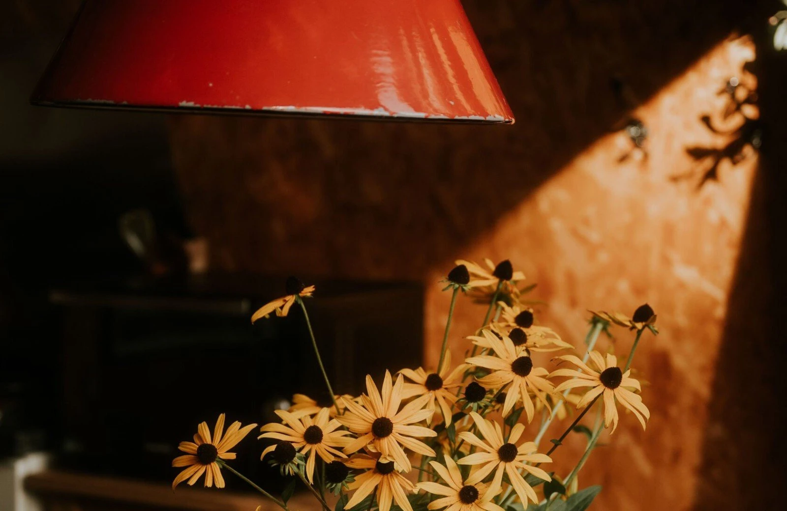 Camping buitenland 593