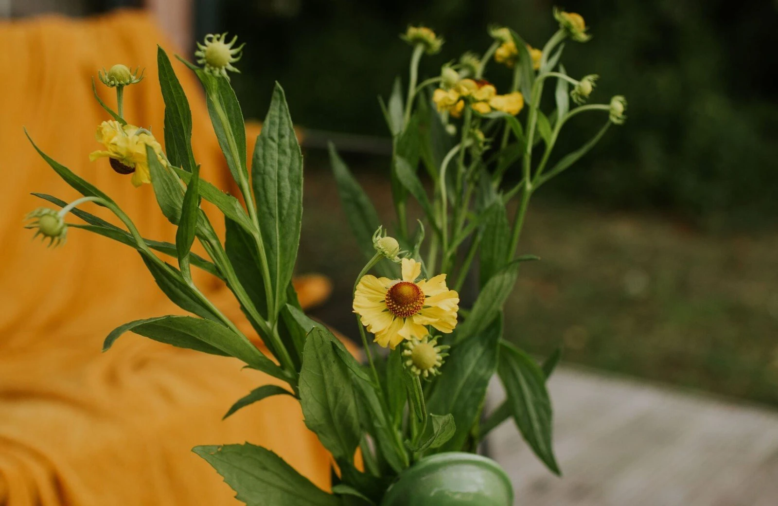 Camping buitenland 83