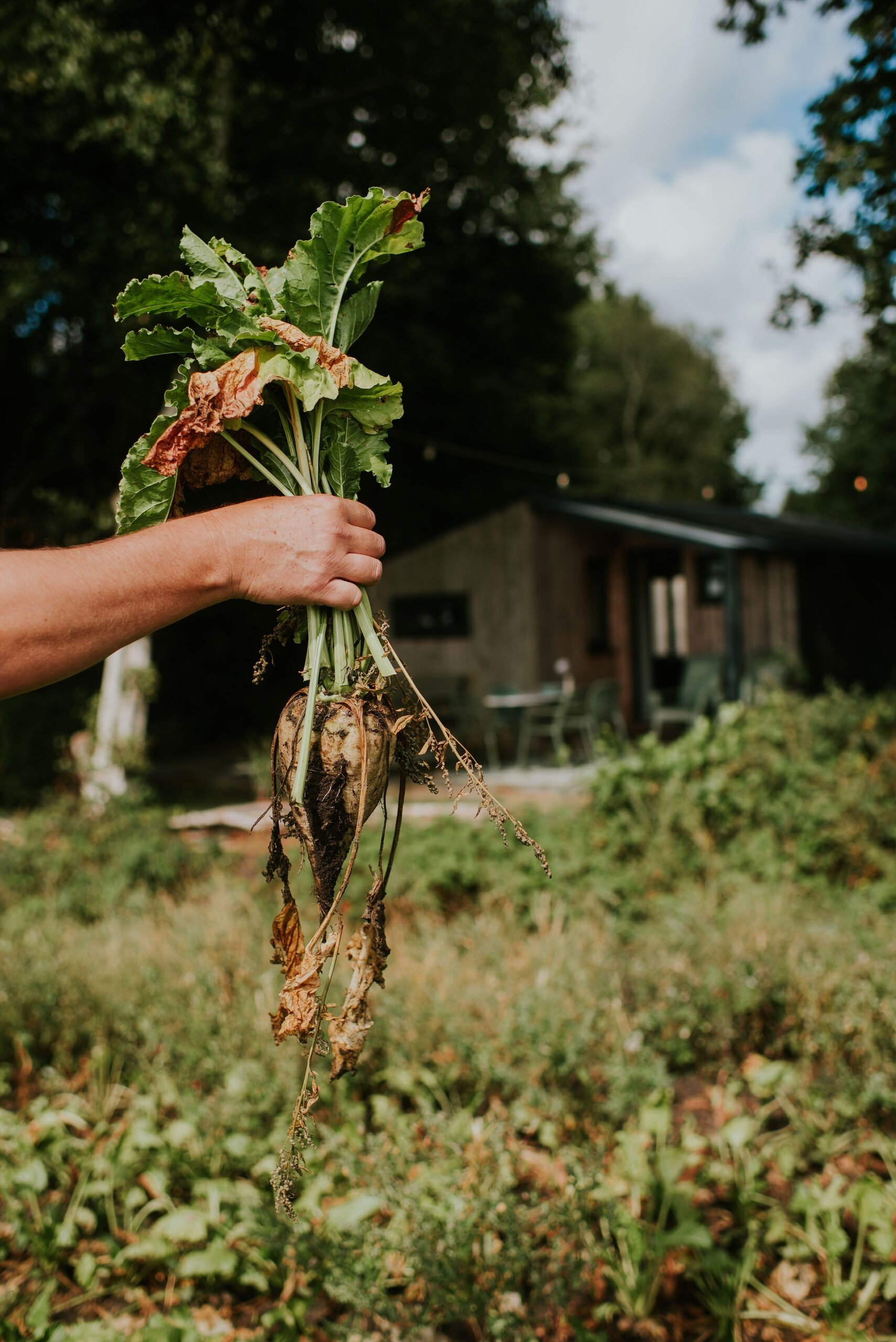 Camping buitenland 86