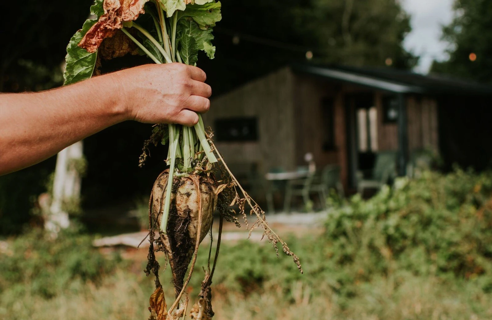 Camping buitenland 86
