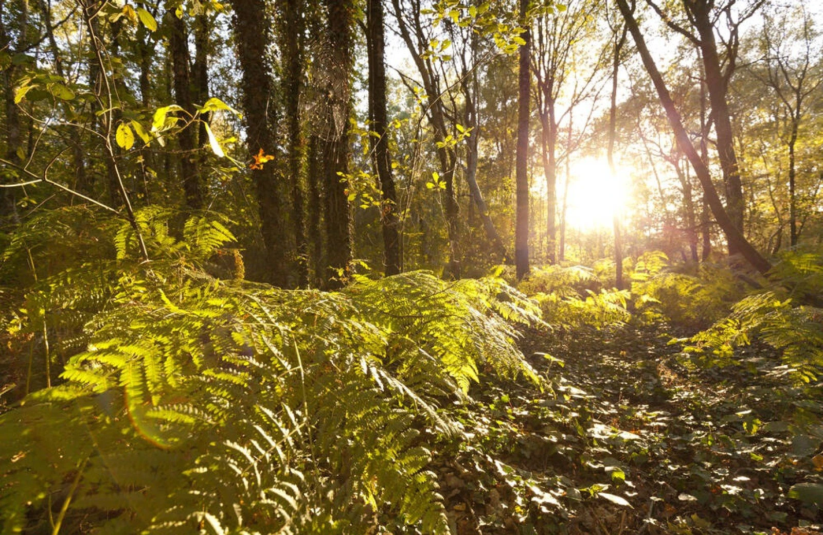 Image image FfmeouCfZCprTPwdM