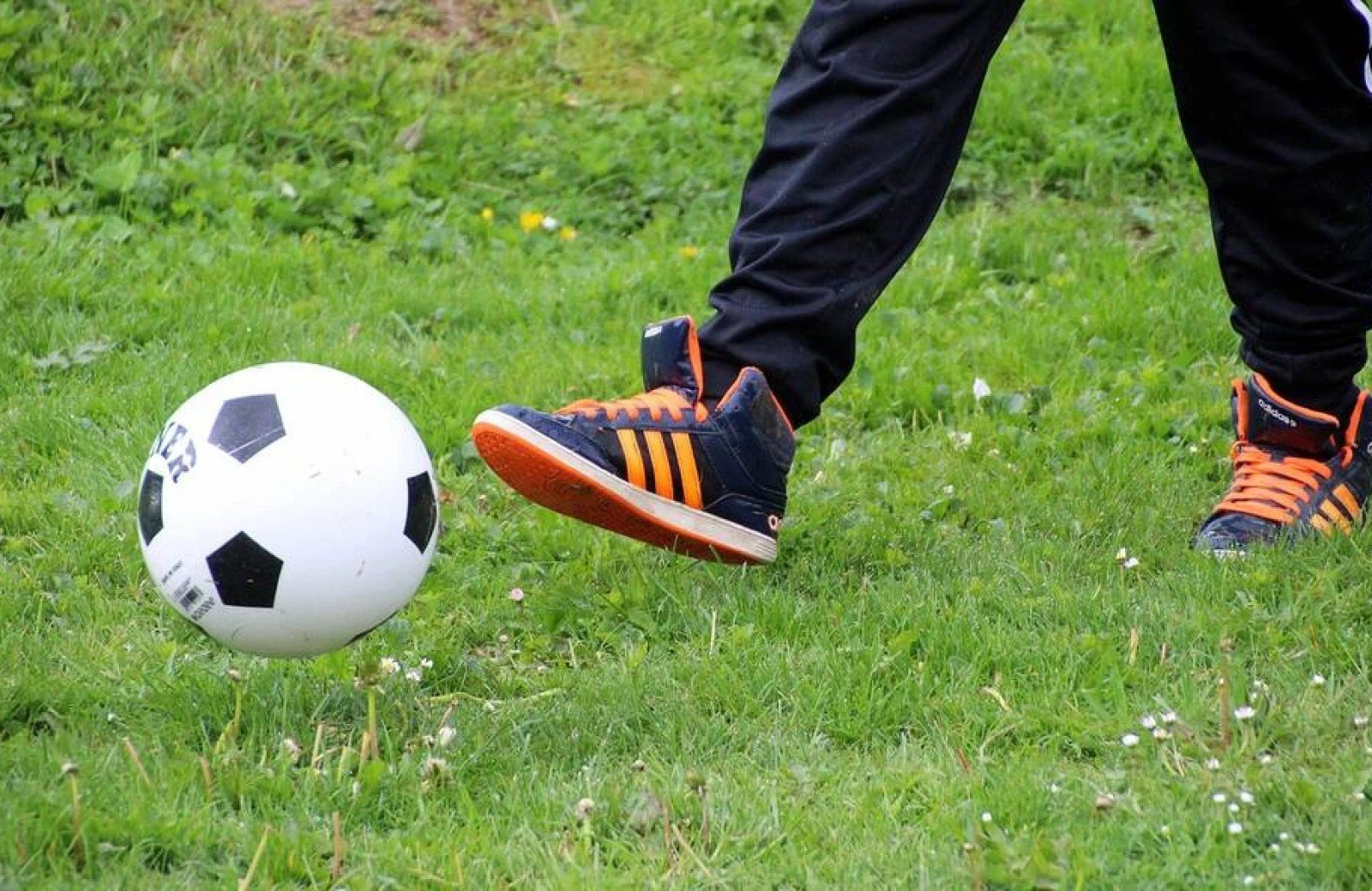 Image image m3soVDMUjZsK