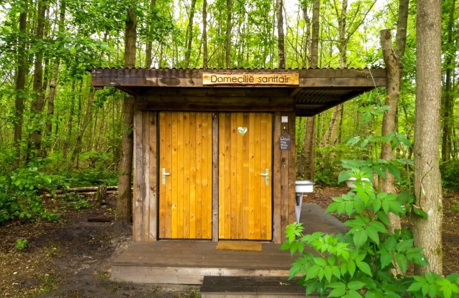 Img 20200611 123858771 1