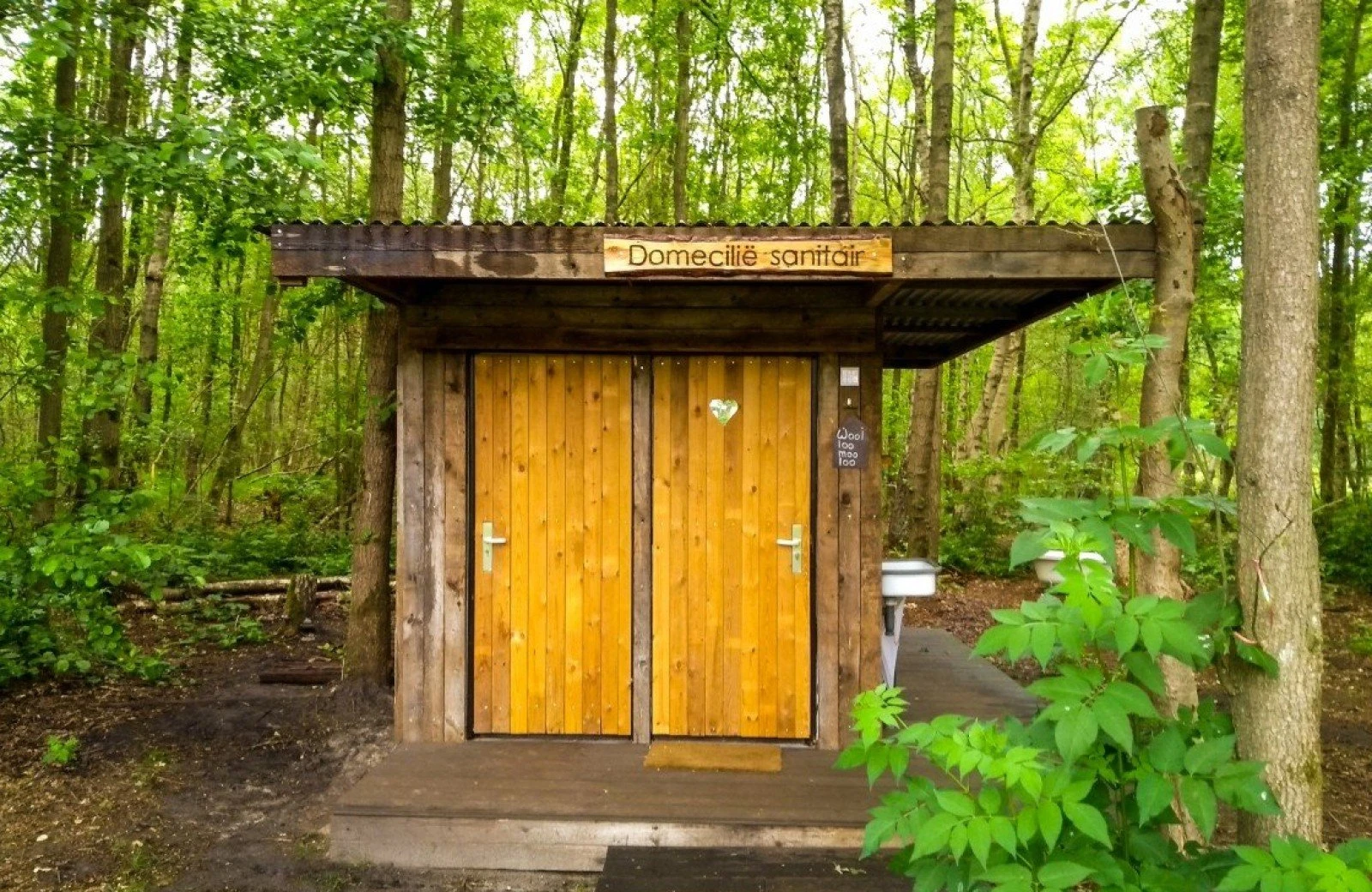 Img 20200611 123858771