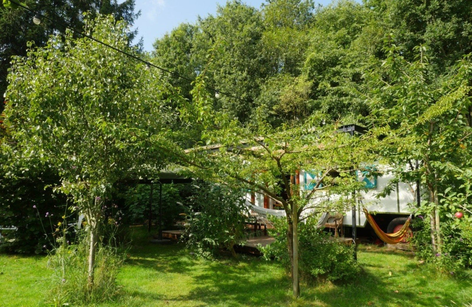 Pachamama 2 p1050162